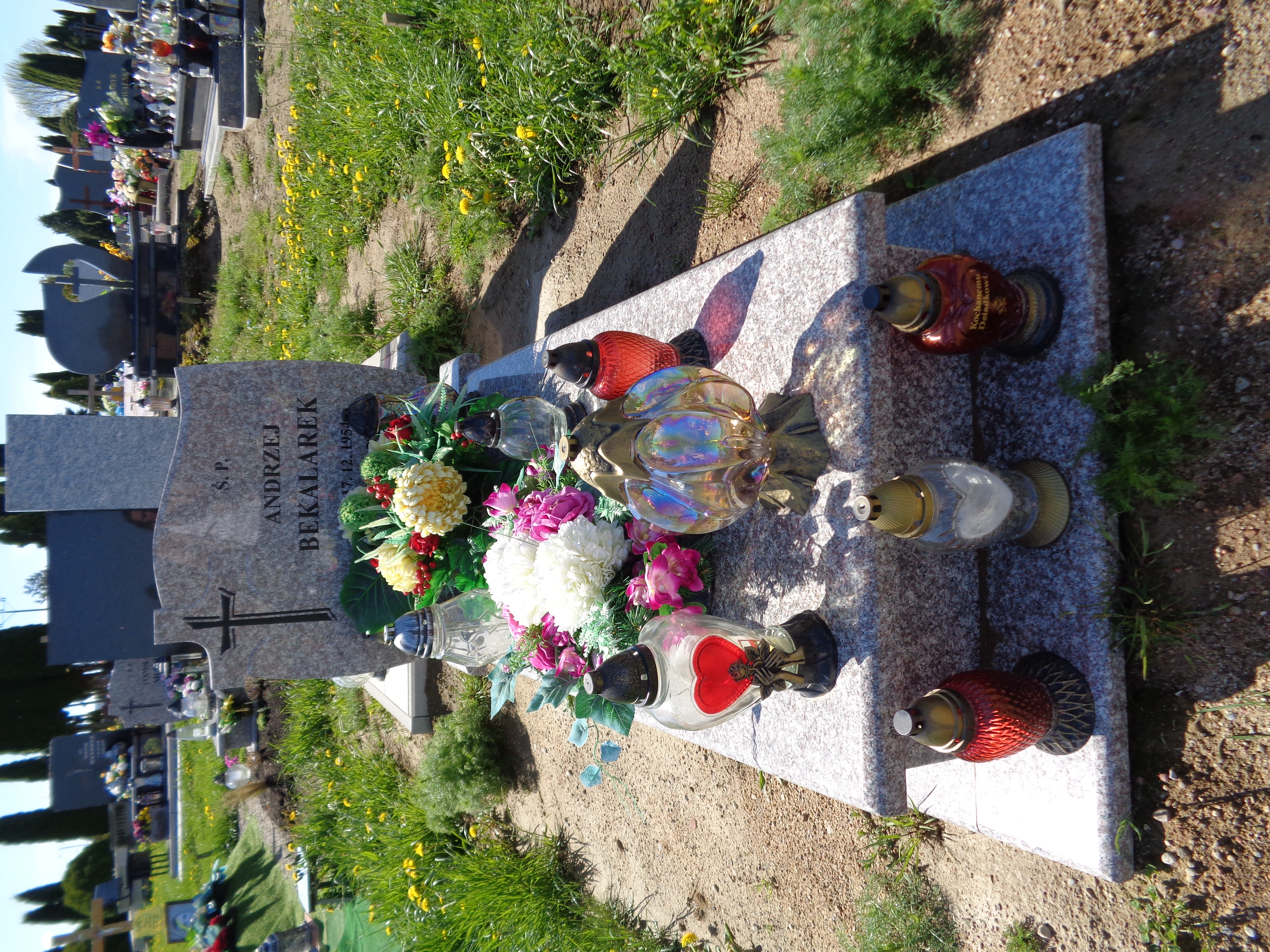 Andrzej Bekalarek 1954 Pasłęk - Grobonet - Wyszukiwarka osób pochowanych