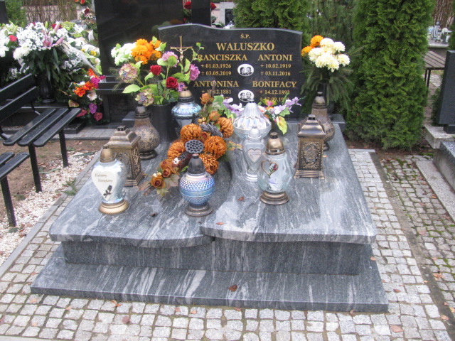 Grób Antonina Waluszko