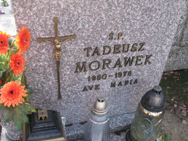 Tadeusz Morawek 1950 Pasłęk - Grobonet - Wyszukiwarka osób pochowanych