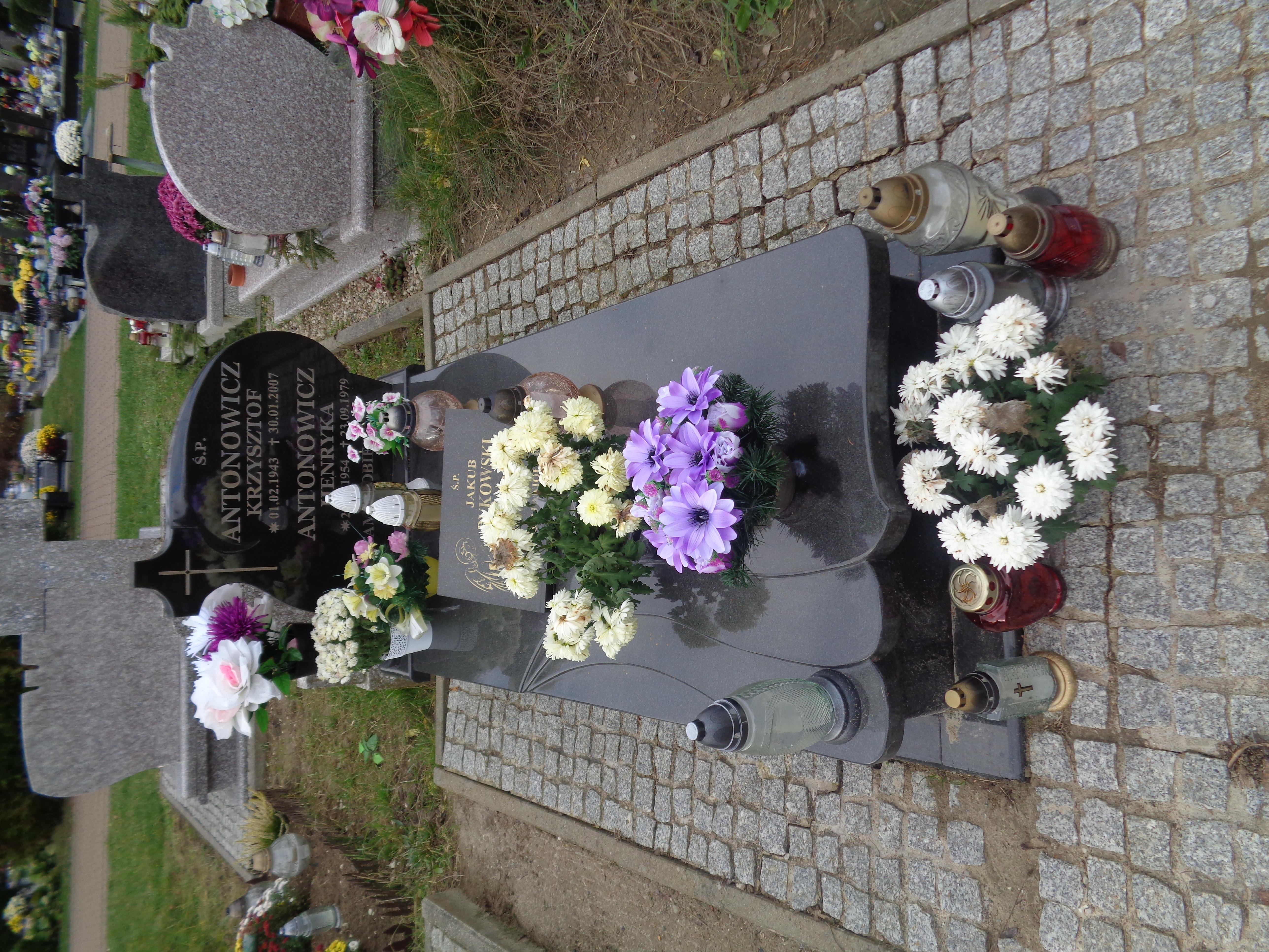 Grób Henryka Antonowicz