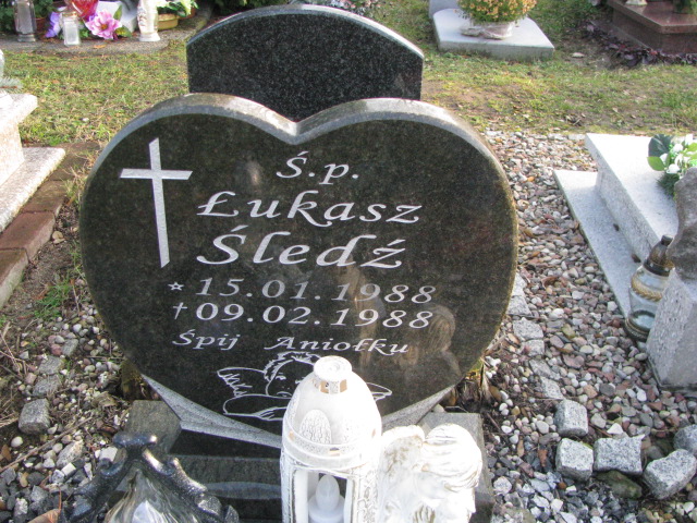 Łukasz Śledź 1988 Pasłęk - Grobonet - Wyszukiwarka osób pochowanych