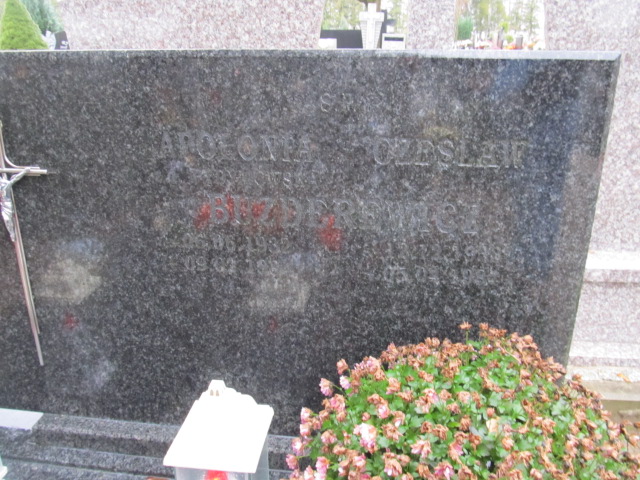 Czesław Buzderewicz 1933 Pasłęk - Grobonet - Wyszukiwarka osób pochowanych