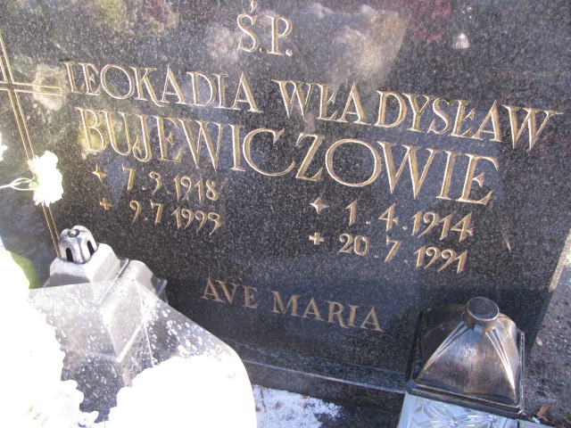 Władysław Bujewicz 1914 Pasłęk - Grobonet - Wyszukiwarka osób pochowanych