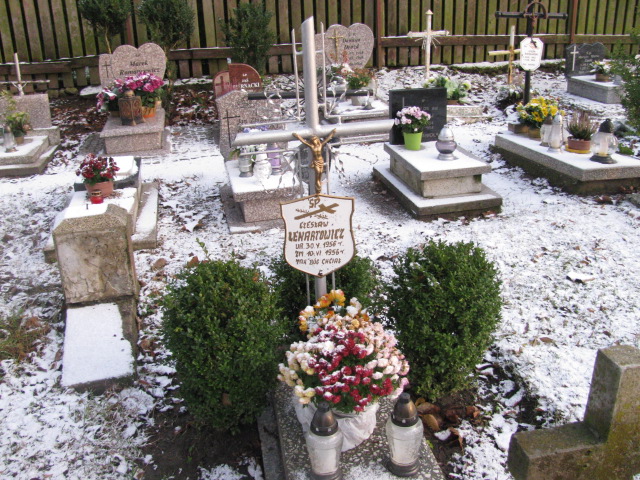 Grób Czesław Lenartowicz